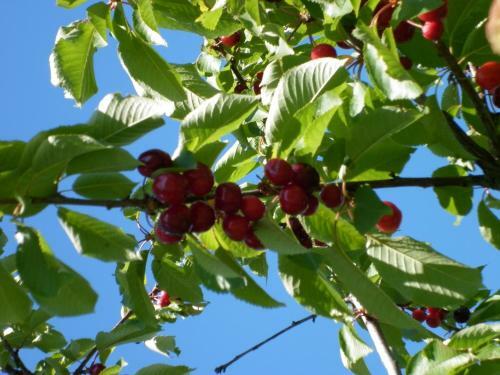 B&B Maremma Nel Tufo