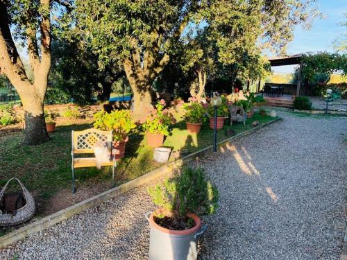 B&B Maremma Nel Tufo