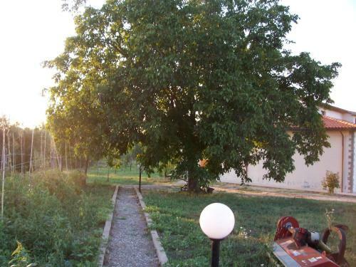 B&B Maremma Nel Tufo
