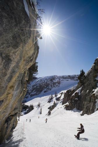 Bed & Breakfast Chalet Des Alpes