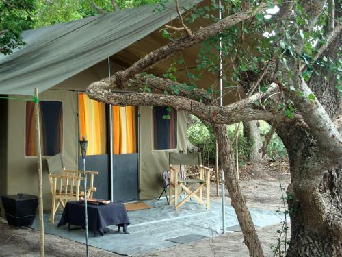 Hotel Mahoora Tented Safari Camp - Bundala