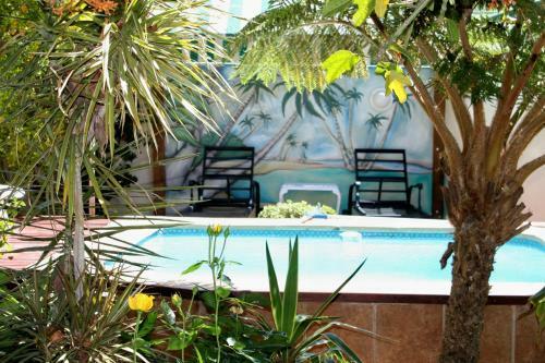 Bed & Breakfast Somerset Lodge