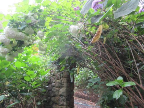 Bed & Breakfast Bellawongarah At Berry