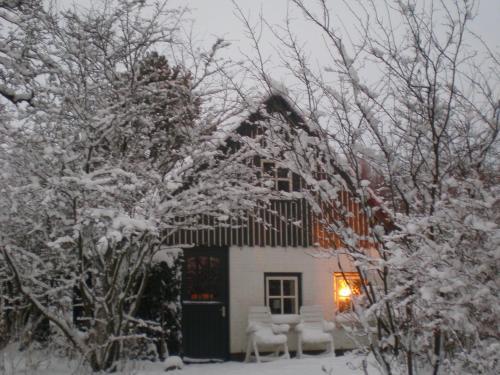 Hostal Cozy Holiday Home In Kollumerland Near Forest