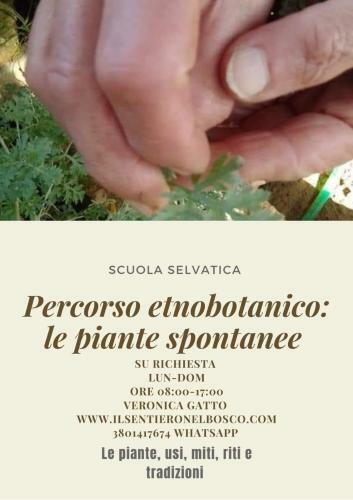 Apartamento B&B Il Sentiero Nel Bosco