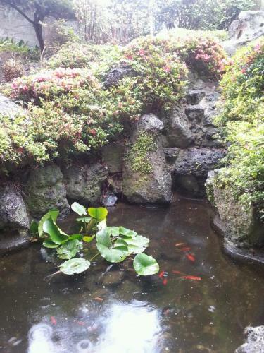Albergue Jeju B.p. Home