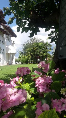 Agroturismo Villagaia