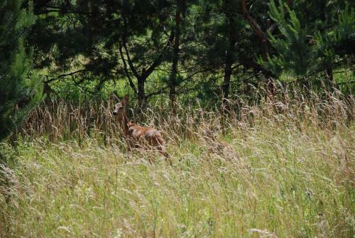 Apartamento Pensjonat Natura