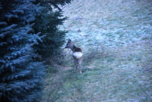 Apartamento Pensjonat Natura