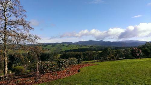 Hostal Pear Tree Cottage Bed And Breakfast