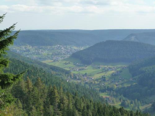 Apartamento Schwarzwald-ferienwohnungen Begert