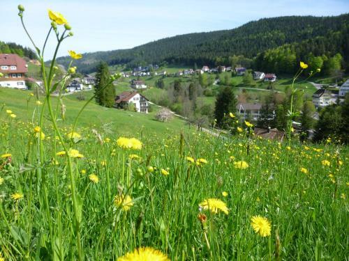 Apartamento Schwarzwald-ferienwohnungen Begert