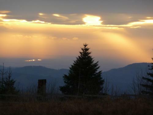 Apartamento Schwarzwald-ferienwohnungen Begert