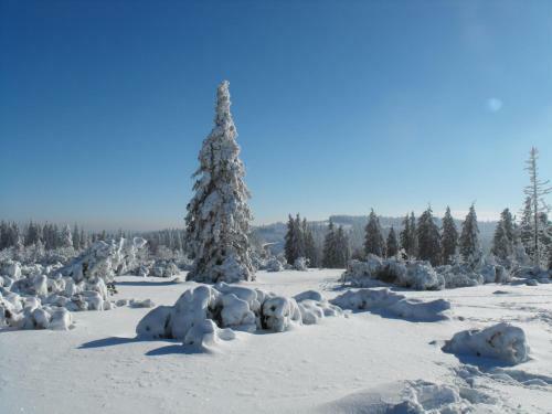 Apartamento Schwarzwald-ferienwohnungen Begert