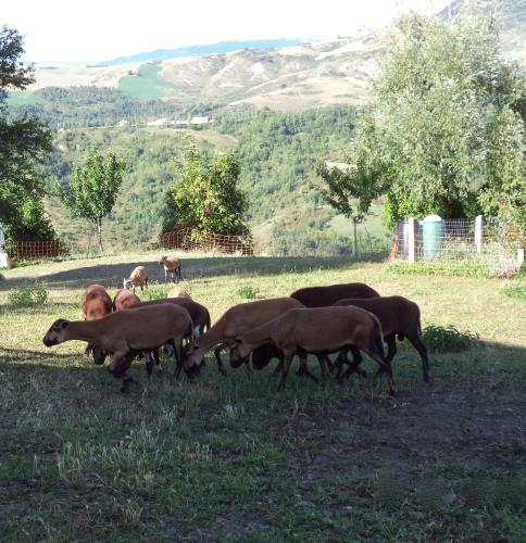 Bed & Breakfast Casa Taiola