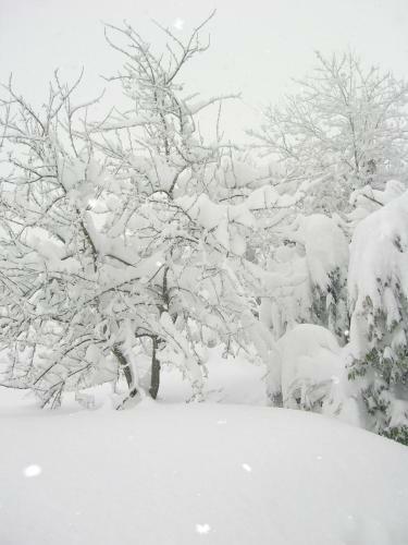 Bed & Breakfast Casa Taiola