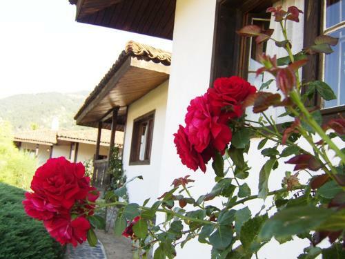 Hotel Eco Complex Klisura