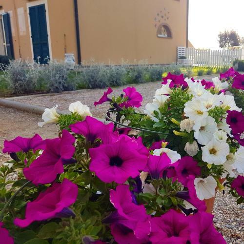 Agroturismo Appartamenti A Vignarca - Localit� Perelli