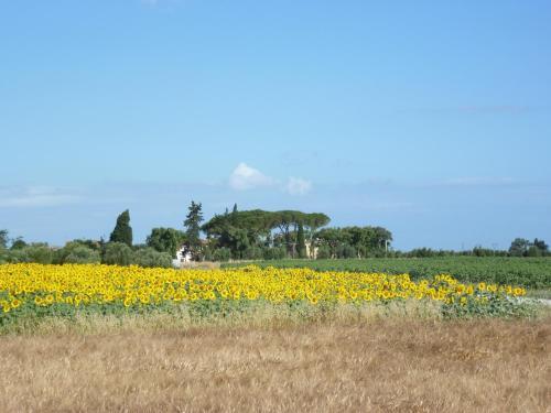 Agroturismo Appartamenti A Vignarca - Localit� Perelli