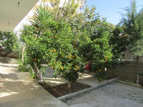 Bed & Breakfast Ahmeti