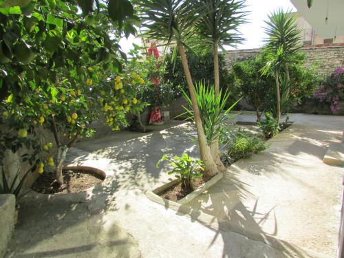 Bed & Breakfast Ahmeti
