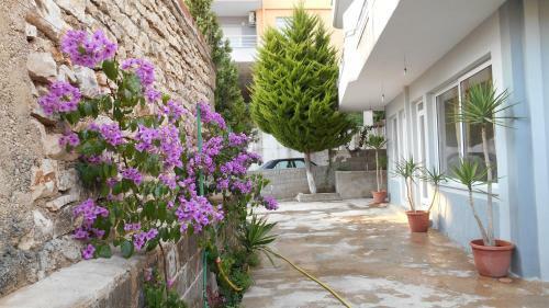 Bed & Breakfast Ahmeti