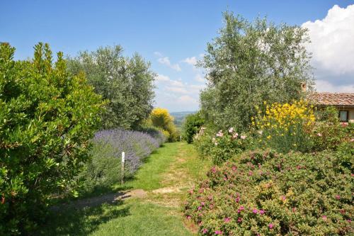 Agroturismo Podere Il Pino