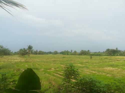 Lodge Rice Villa