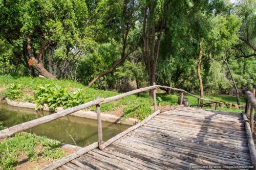 Hostal African Vineyard Guesthouse