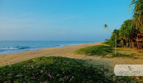 Hotel Nature Lanka Ayurveda Resort