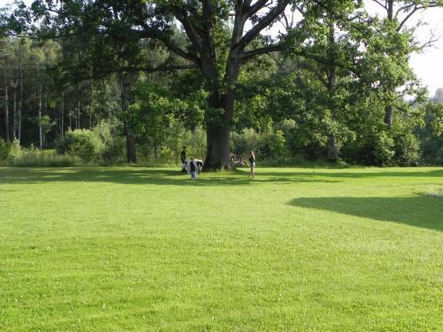 Agroturismo Aliai