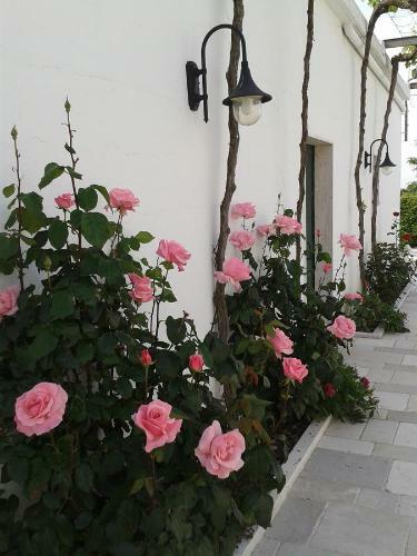 Hostal La Ferula Agriturismo Fattoria Didattica