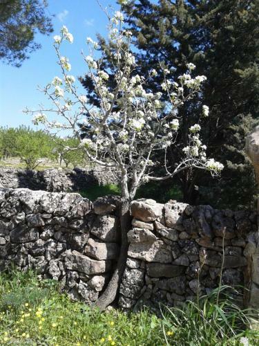 Hostal La Ferula Agriturismo Fattoria Didattica