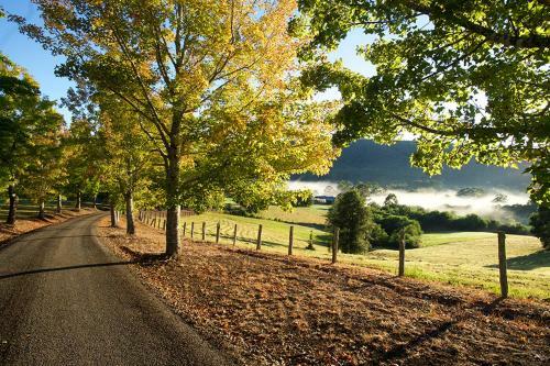 Agroturismo Clarendon Forest Retreat