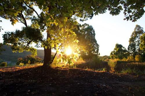 Agroturismo Clarendon Forest Retreat