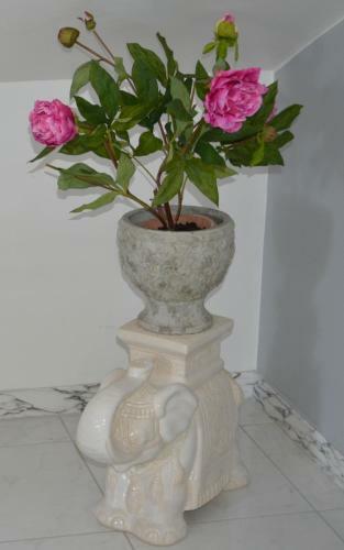 Bed & Breakfast Villa Lavanda