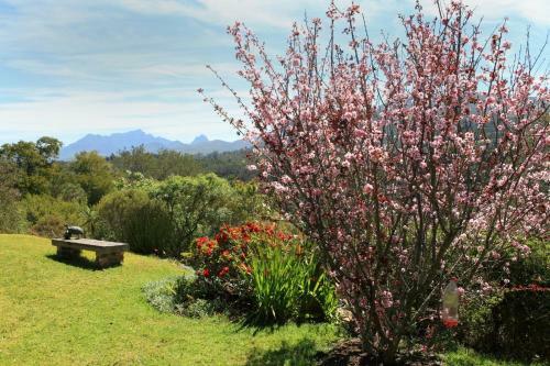 Apartamento Fynbos Garden Suite
