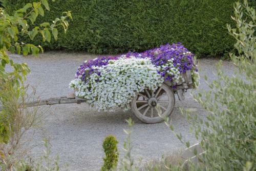 Agroturismo Casa Di Campagna In Toscana