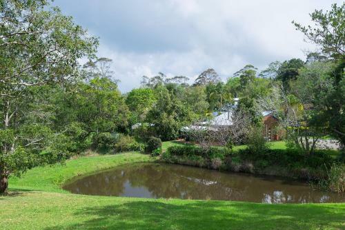 Agroturismo Jacaranda Cottages