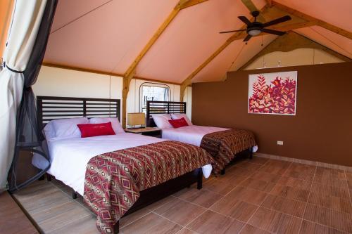 Hotel Luxury Camping Panama