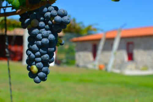 Agroturismo Quinta Do Olival