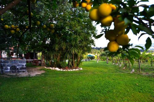 Agroturismo Quinta Do Olival