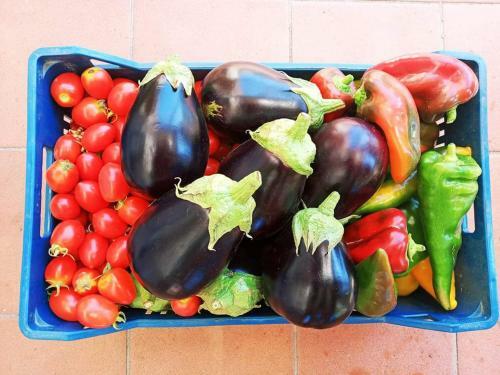 Agroturismo Borgo S.maria Di Vulci