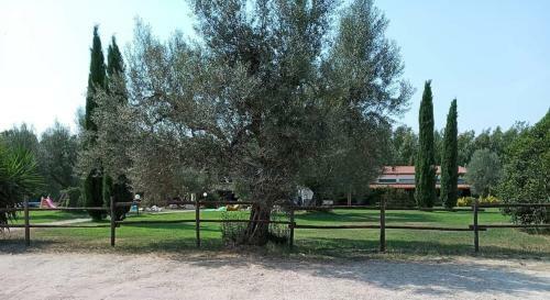 Agroturismo Borgo S.maria Di Vulci