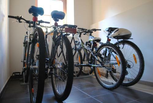 Hostal Sport - Relax Buky