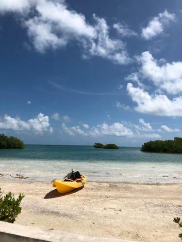 Hotel Royal Palm Island Resort