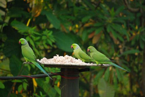 Bed & Breakfast Zum Deutschen