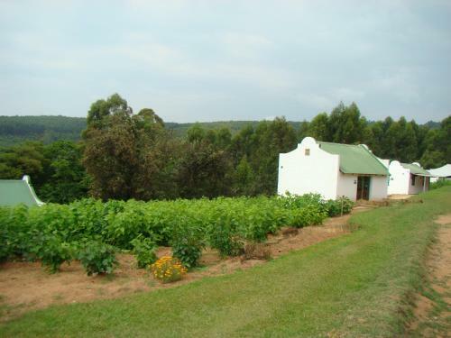 Hostal Mulberry Lane