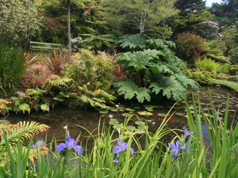 Bed & Breakfast Rapaura Watergardens