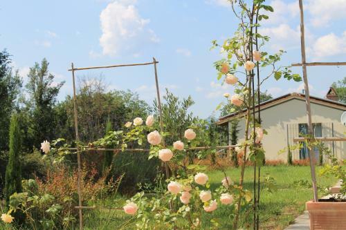 Agroturismo Agriturismo Dimore Di Poggianto